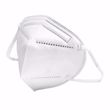 Image sur Masques FFP2 TECHEALTH blanc - Adulte - 10pc